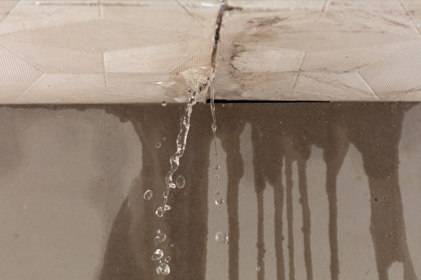Professional Structural Drying technician working in Middleport, NY
